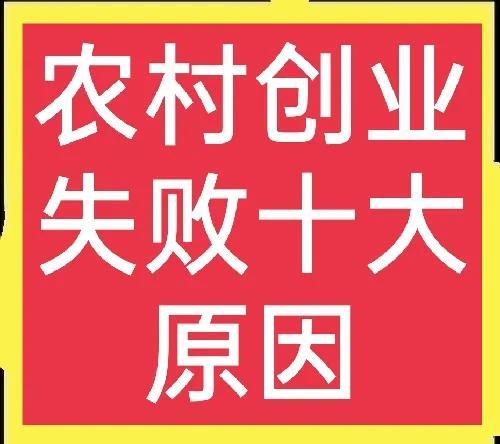 创业过程中的风险因素包括,创业风险主要由风险因素?
