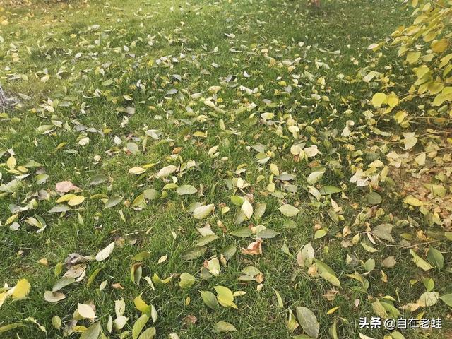 什么叫自媒体_这个赚钱吗(自媒体是什么怎么赚钱)