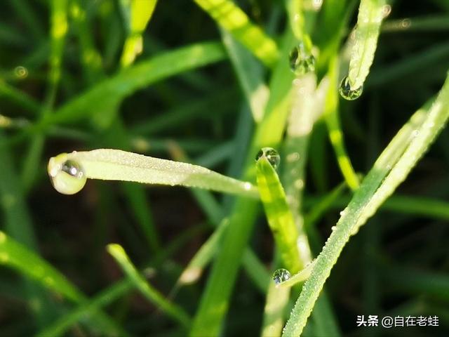 什么叫自媒体_这个赚钱吗(自媒体是什么怎么赚钱)