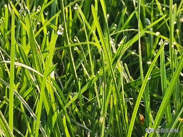 什么叫自媒体_这个赚钱吗(自媒体是什么怎么赚钱)